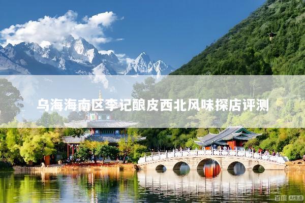 乌海海南区李记酿皮西北风味探店评测