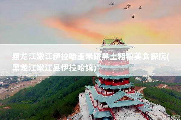 黑龙江嫩江伊拉哈玉米饼黑土粗粮美食探店(黑龙江嫩江县伊拉哈镇)