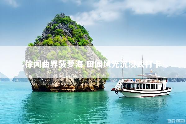 徐闻曲界菠萝海 田园风光沉浸式打卡