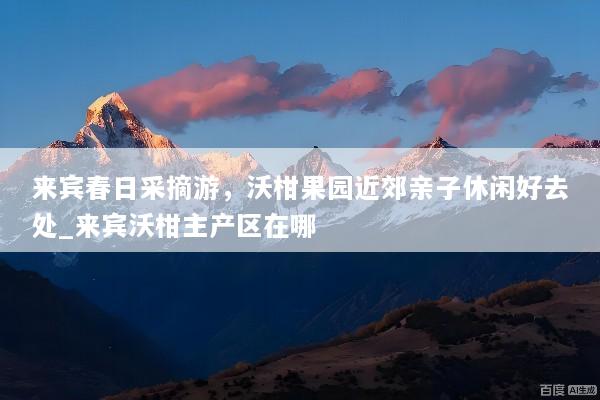 来宾春日采摘游，沃柑果园近郊亲子休闲好去处_来宾沃柑主产区在哪