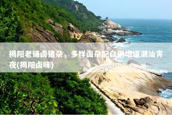 揭阳老铺卤猪杂，多样卤杂配白粥地道潮汕宵夜(揭阳卤味)