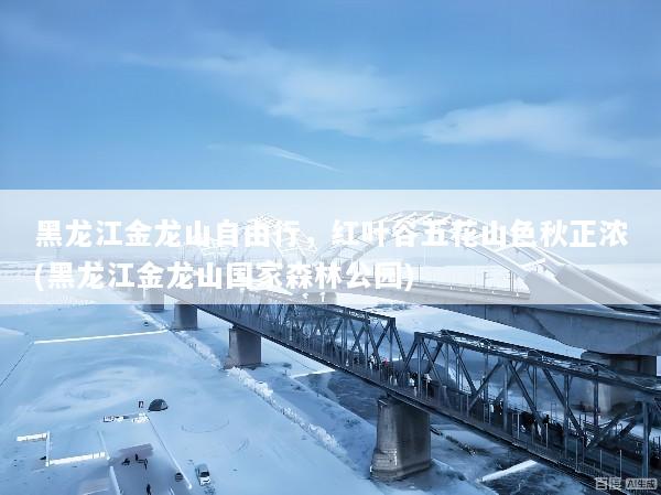 黑龙江金龙山自由行，红叶谷五花山色秋正浓(黑龙江金龙山国家森林公园)