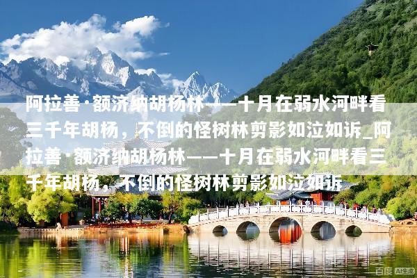 阿拉善·额济纳胡杨林——十月在弱水河畔看三千年胡杨，不倒的怪树林剪影如泣如诉_阿拉善·额济纳胡杨林——十月在弱水河畔看三千年胡杨，不倒的怪树林剪影如泣如诉