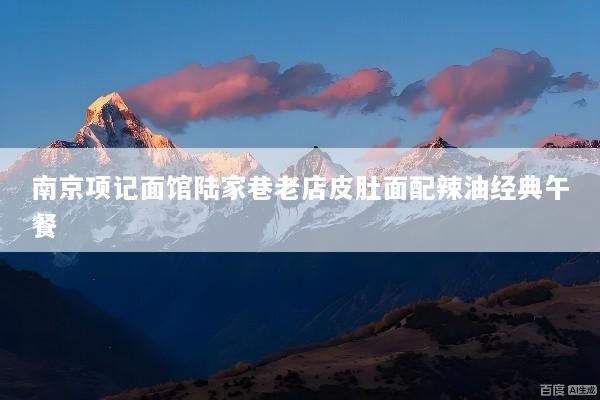 南京项记面馆陆家巷老店皮肚面配辣油经典午餐