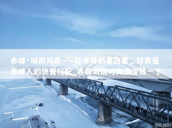 赤峰·城南对夹——在赤峰的老店里，对夹是赤峰人的快餐标配_赤峰城南对夹多少钱一个