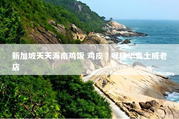 新加坡天天海南鸡饭 鸡皮啫喱精华麦士威老店