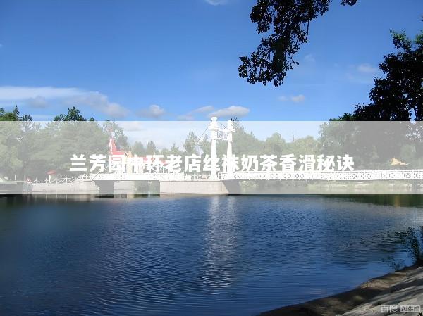 兰芳园中环老店丝袜奶茶香滑秘诀