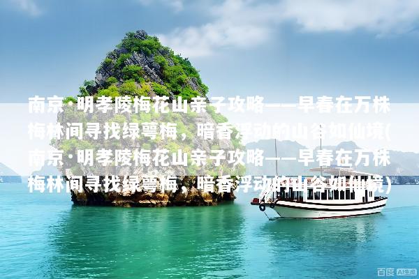 南京·明孝陵梅花山亲子攻略——早春在万株梅林间寻找绿萼梅，暗香浮动的山谷如仙境(南京·明孝陵梅花山亲子攻略——早春在万株梅林间寻找绿萼梅，暗香浮动的山谷如仙境)