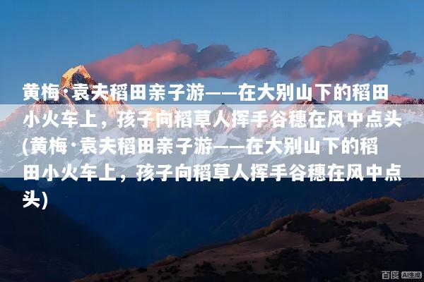 黄梅·袁夫稻田亲子游——在大别山下的稻田小火车上，孩子向稻草人挥手谷穗在风中点头(黄梅·袁夫稻田亲子游——在大别山下的稻田小火车上，孩子向稻草人挥手谷穗在风中点头)