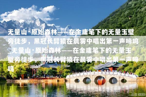 无量山·原始森林——在金庸笔下的无量玉璧旁徒步，黑冠长臂猿在晨雾中唱出第一声啼鸣_无量山·原始森林——在金庸笔下的无量玉璧旁徒步，黑冠长臂猿在晨雾中唱出第一声啼鸣