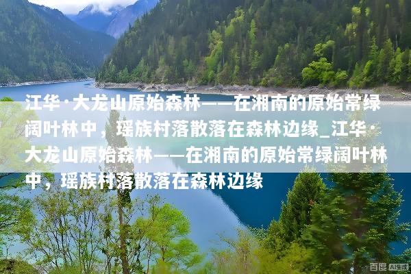 江华·大龙山原始森林——在湘南的原始常绿阔叶林中，瑶族村落散落在森林边缘_江华·大龙山原始森林——在湘南的原始常绿阔叶林中，瑶族村落散落在森林边缘