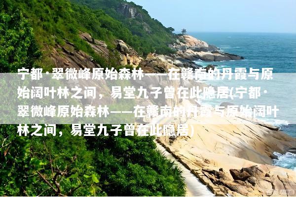 宁都·翠微峰原始森林——在赣南的丹霞与原始阔叶林之间，易堂九子曾在此隐居(宁都·翠微峰原始森林——在赣南的丹霞与原始阔叶林之间，易堂九子曾在此隐居)