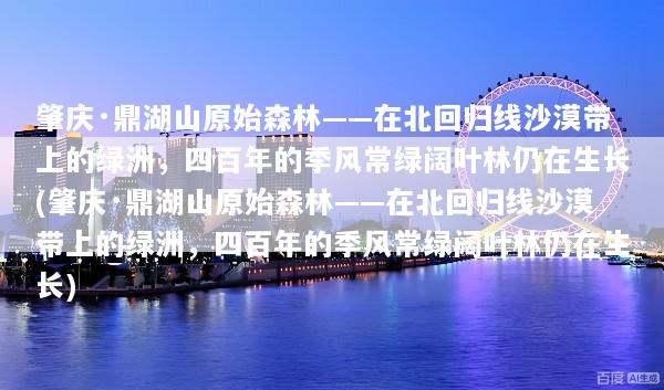 肇庆·鼎湖山原始森林——在北回归线沙漠带上的绿洲，四百年的季风常绿阔叶林仍在生长(肇庆·鼎湖山原始森林——在北回归线沙漠带上的绿洲，四百年的季风常绿阔叶林仍在生长)