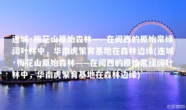 连城·梅花山原始森林——在闽西的原始常绿阔叶林中，华南虎繁育基地在森林边缘(连城·梅花山原始森林——在闽西的原始常绿阔叶林中，华南虎繁育基地在森林边缘)